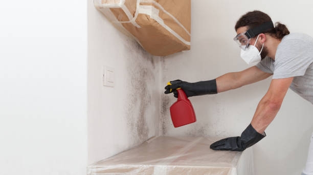 Professional Bathroom Mold Removal technician working in Augusta, MI