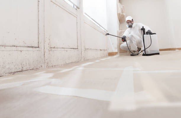 24/7 Emergency Bathroom Mold Removal experts in Augusta, MI