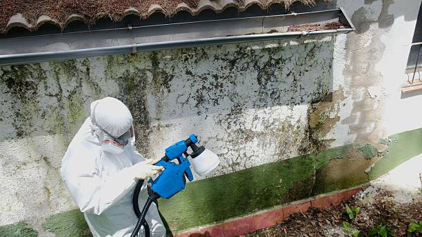 Top rated local Bathroom Mold Removal specialists in Augusta, MI